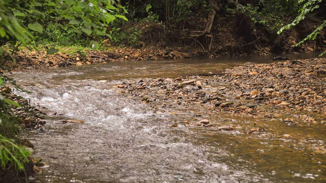 Photo of Others in Bostic