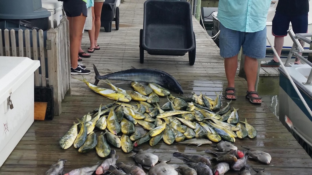 Photo of Others in Hatteras