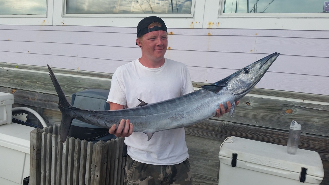 Photo of Others in Hatteras