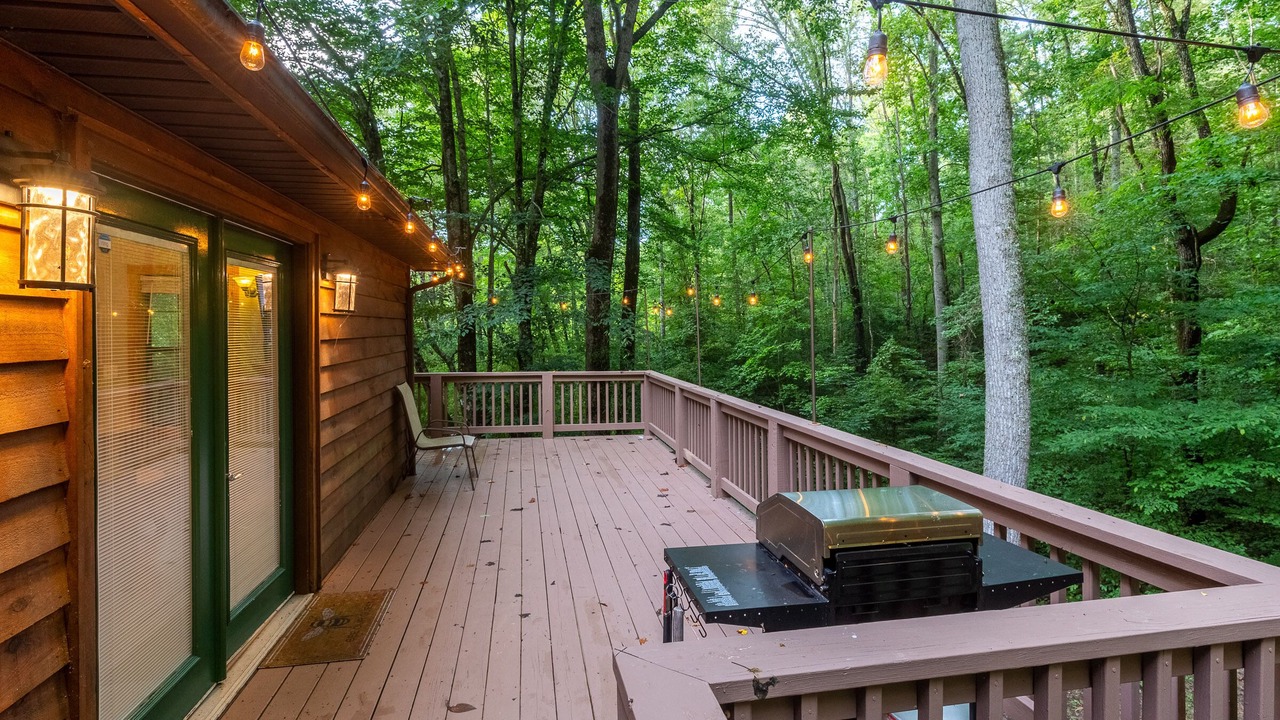 Photo of Outdoor in Qualla
