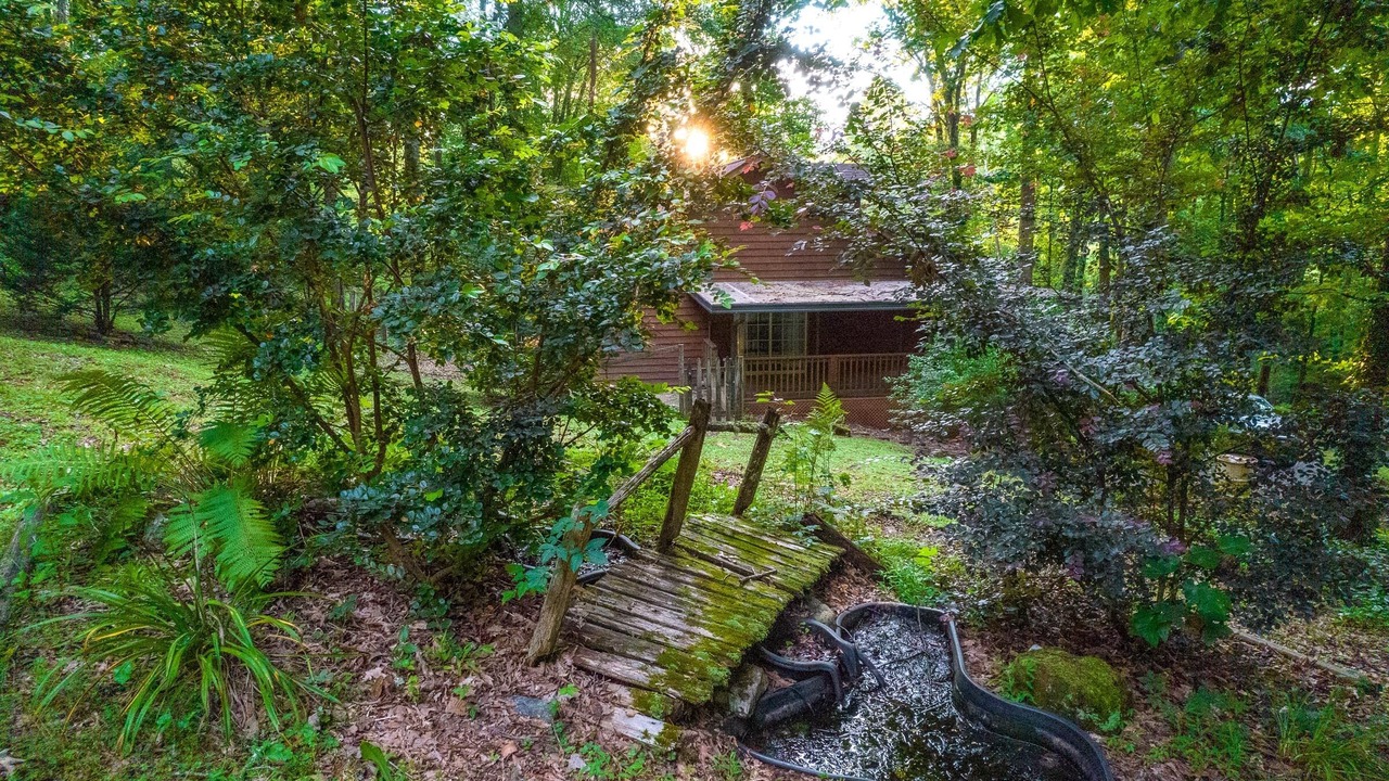 Photo of Outdoor in Qualla