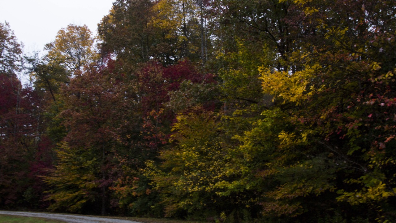Photo of Outdoor in Vein Mountain
