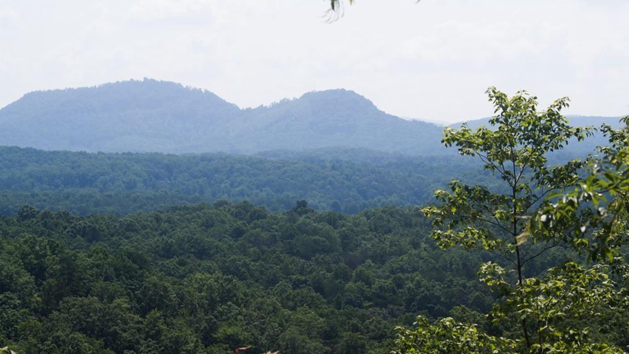 Photo of Others in Vein Mountain