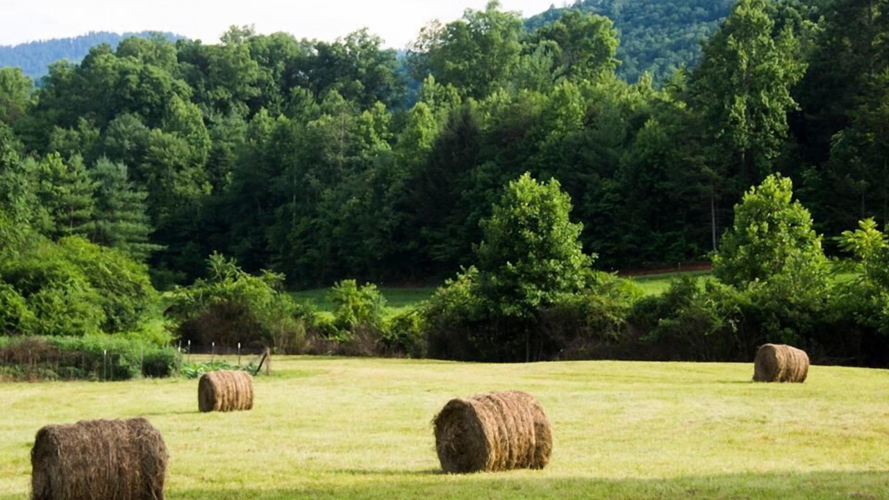 Photo of Outdoor in Vein Mountain