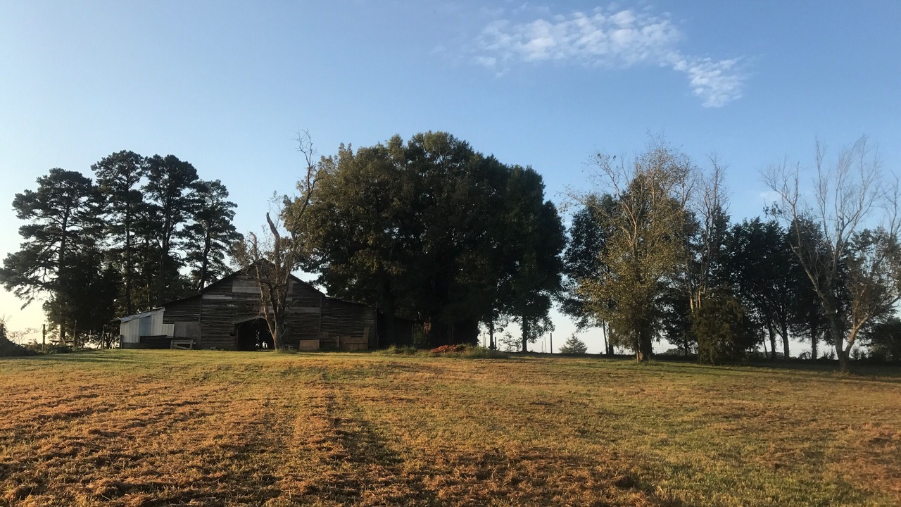Photo of Outdoor in Albemarle