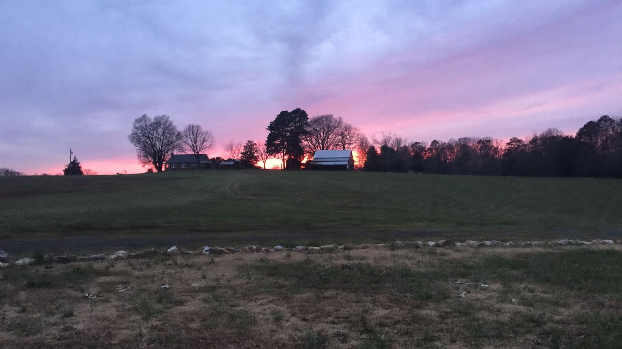 Photo of Others in Albemarle