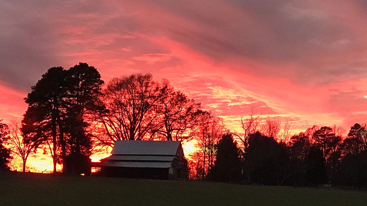 Photo of Outdoor in Albemarle