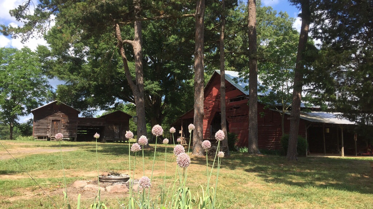 Photo of Outdoor in Albemarle