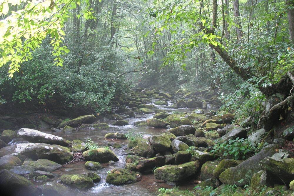 Photo of Outdoor in Maggie Valley