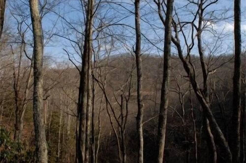 Photo of Others in Maggie Valley