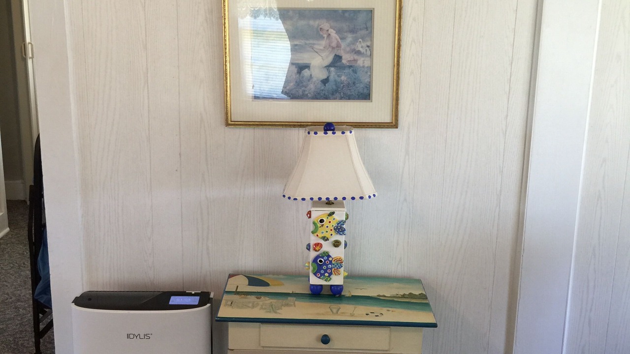Photo of Others in Harkers Island