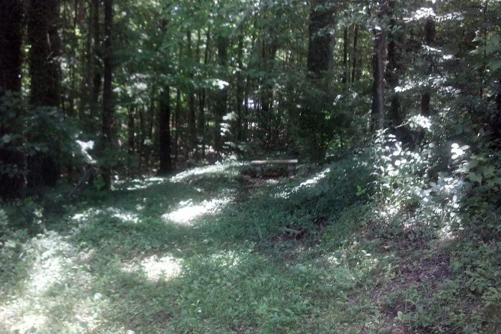 Photo of Outdoor in Naples