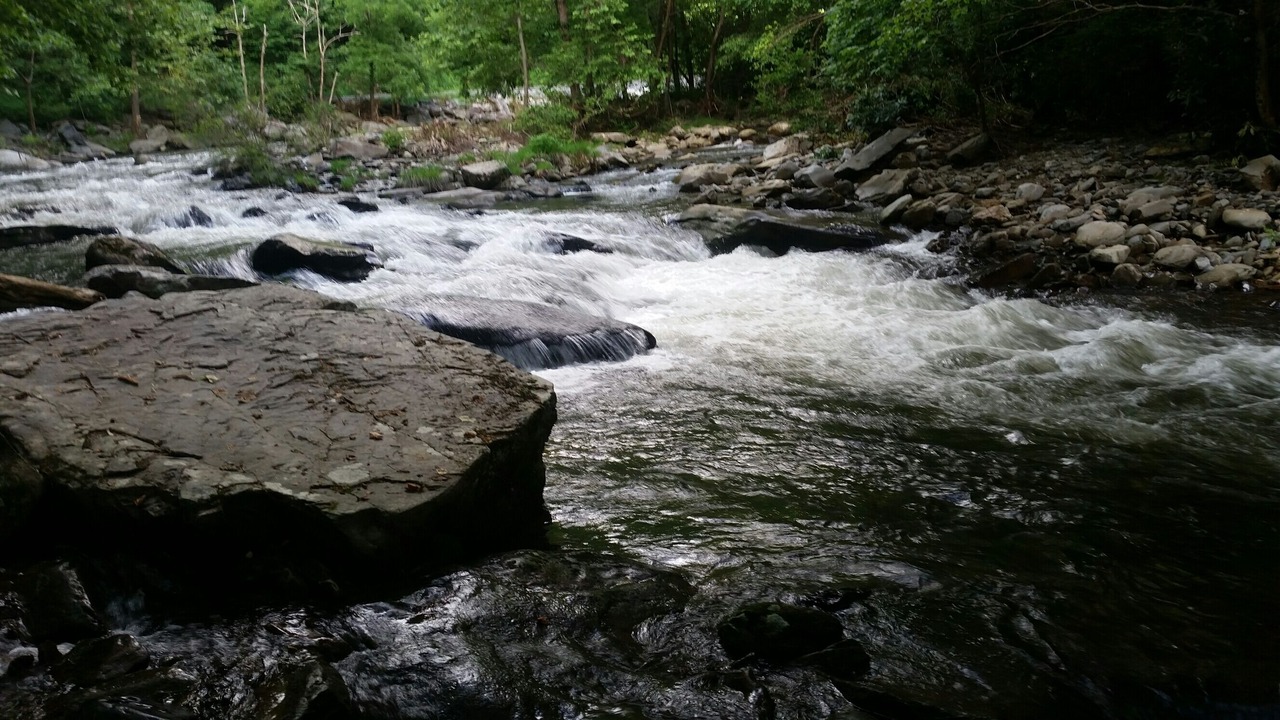 Photo of Outdoor in Robbinsville