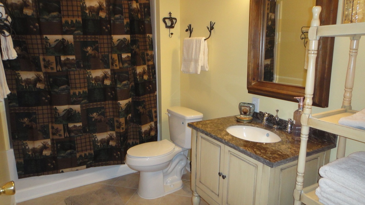 Photo of Bathroom in Traphill