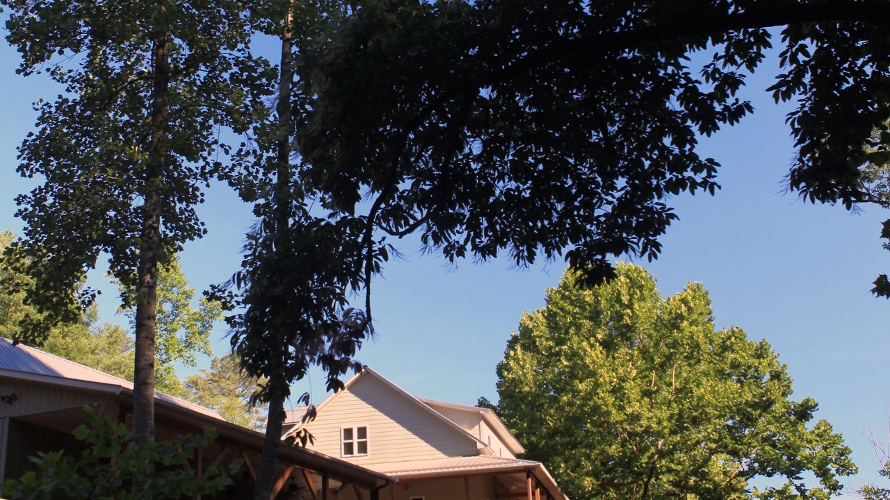 Photo of Outdoor in Traphill