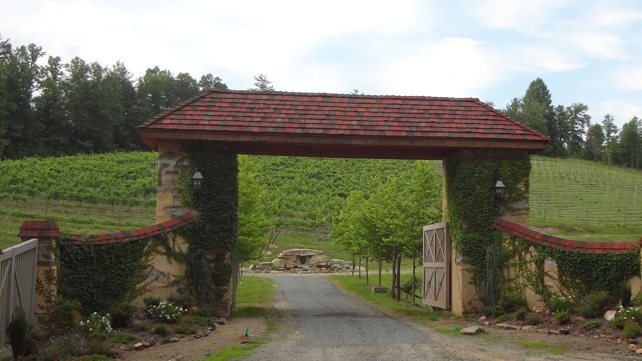 Photo of Outdoor in Traphill