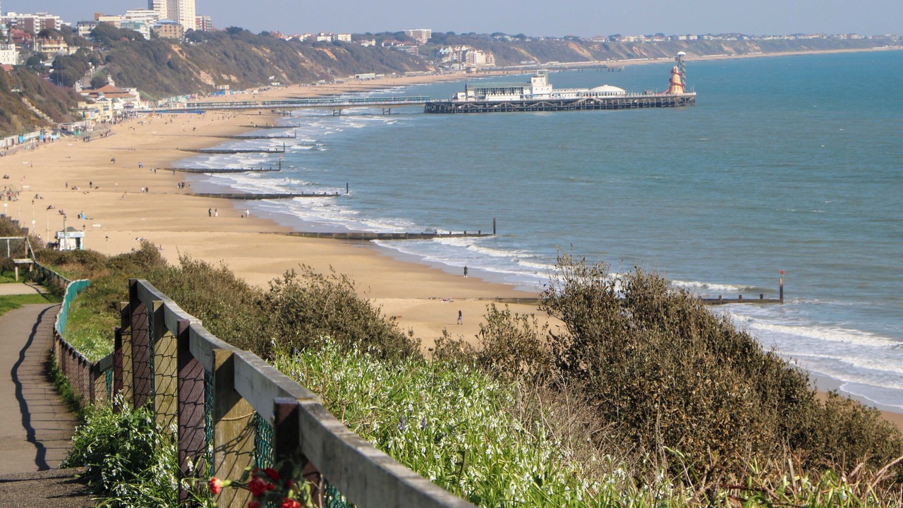 Photo of Others in St Leonards