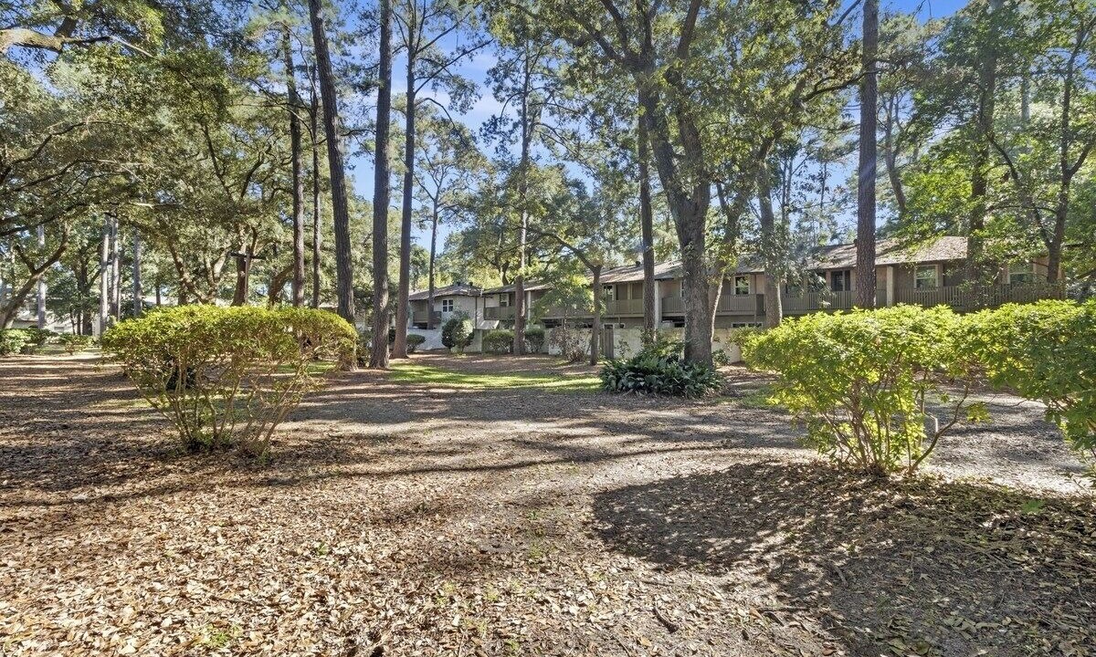 Photo of Others in Palmetto Dunes