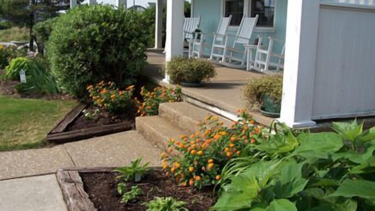 Photo of Outdoor in Kill Devil Hills