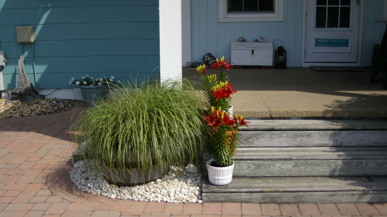 Photo of Outdoor in Kill Devil Hills
