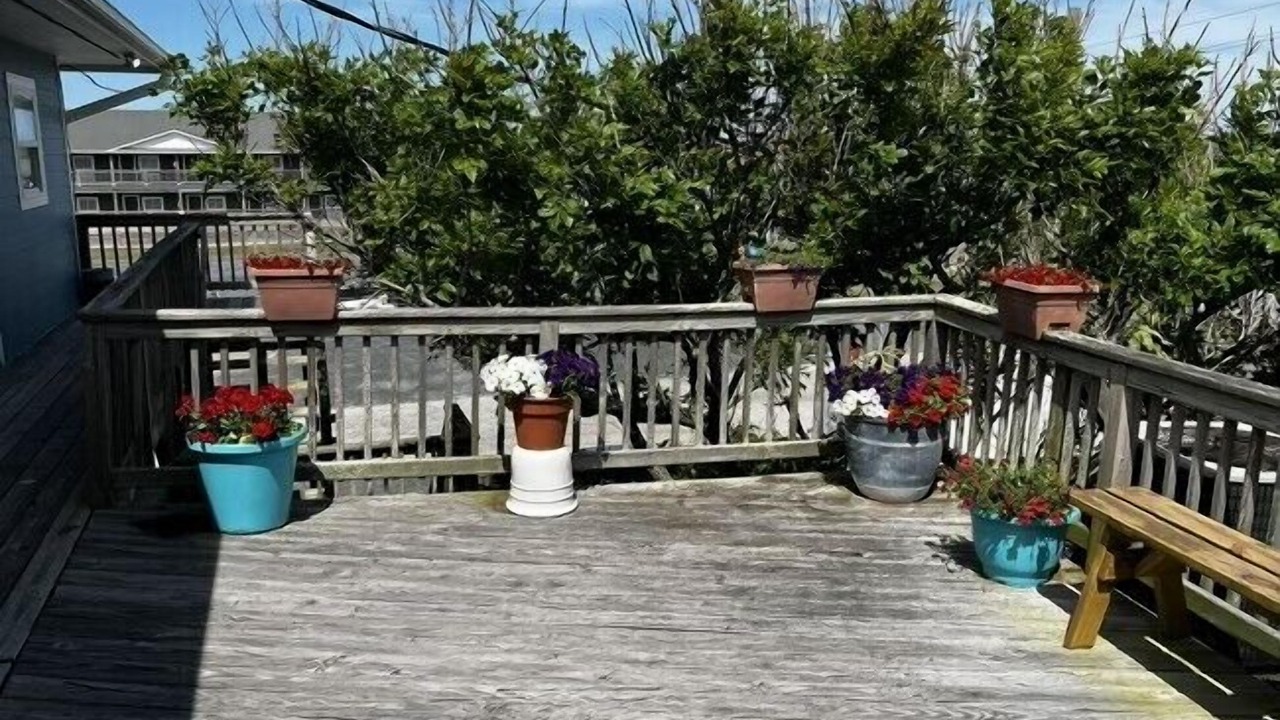 Photo of Outdoor in Hatteras