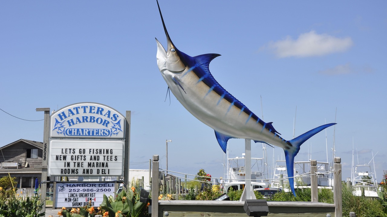 Photo of Others in Hatteras