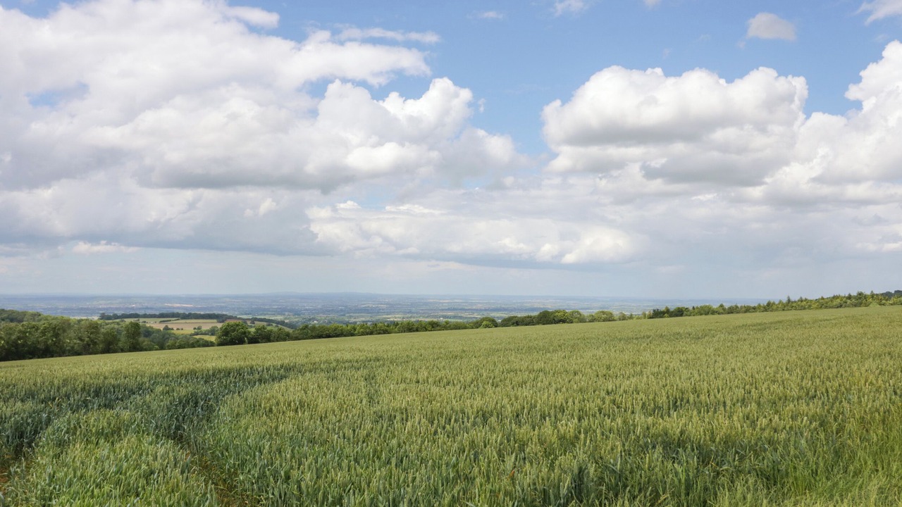 Photo of Others in Longborough