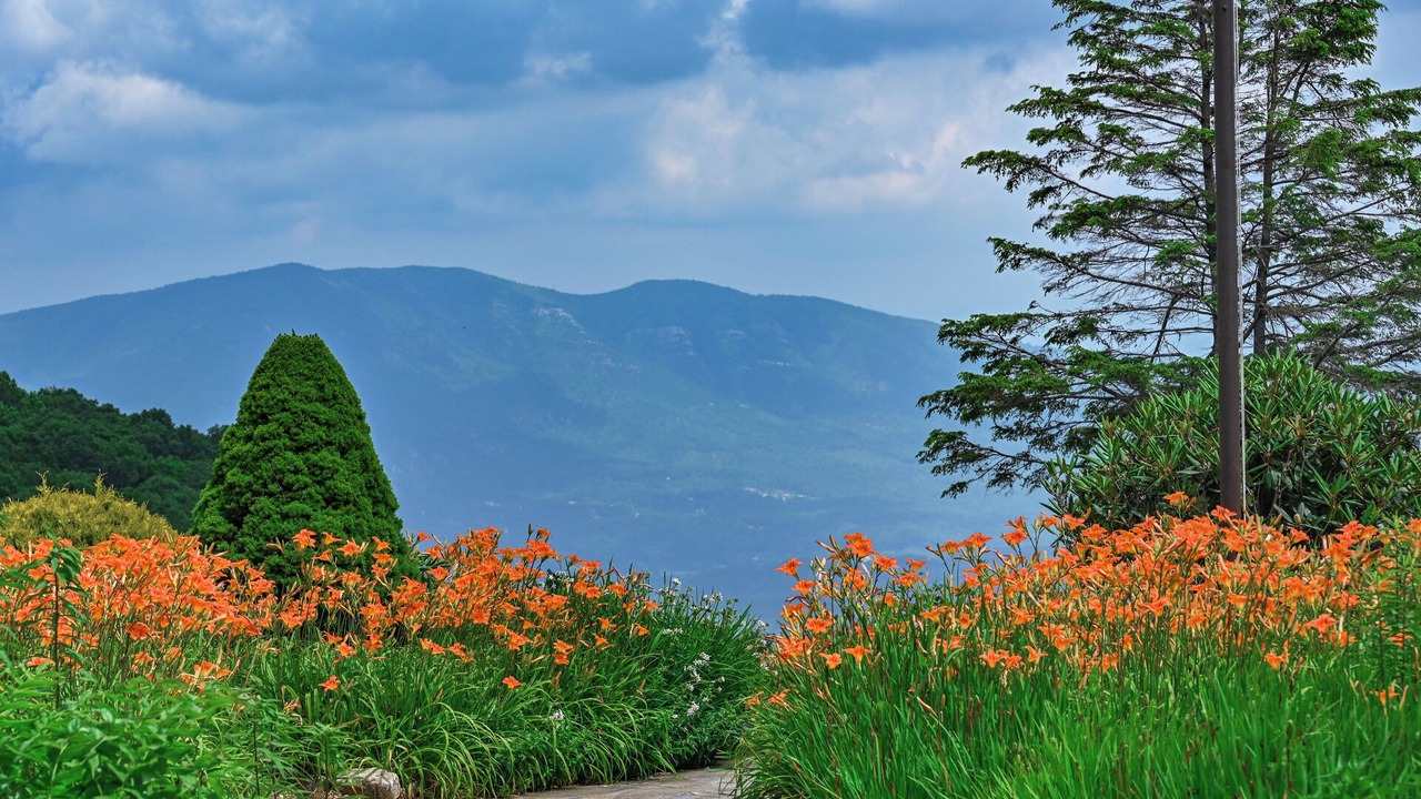 Photo of Outdoor in Little Switzerland