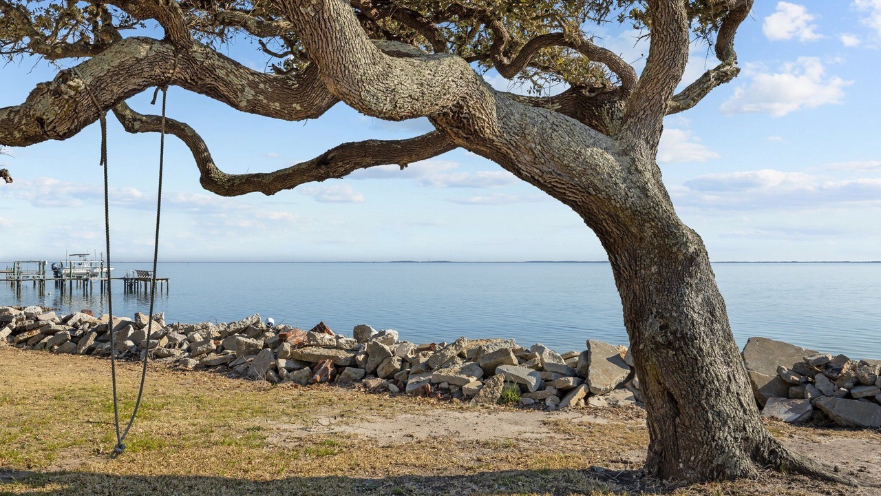 Photo of Others in Harkers Island