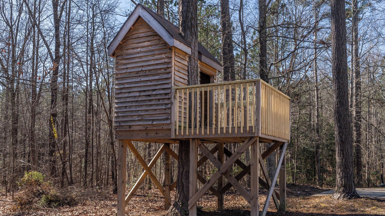 Photo of Outdoor in Raleigh