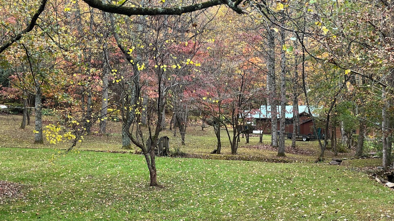 Photo of Outdoor in Andrews