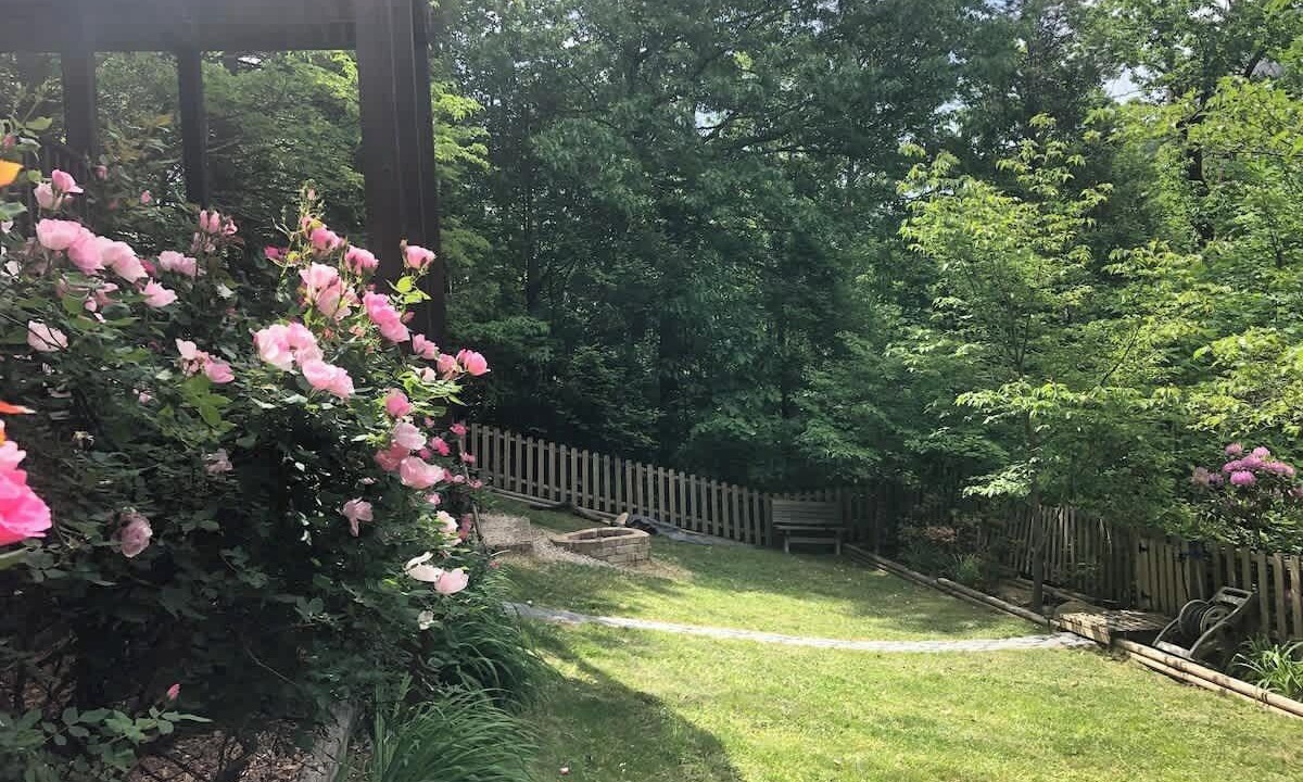 Photo of Outdoor in Chimney Rock