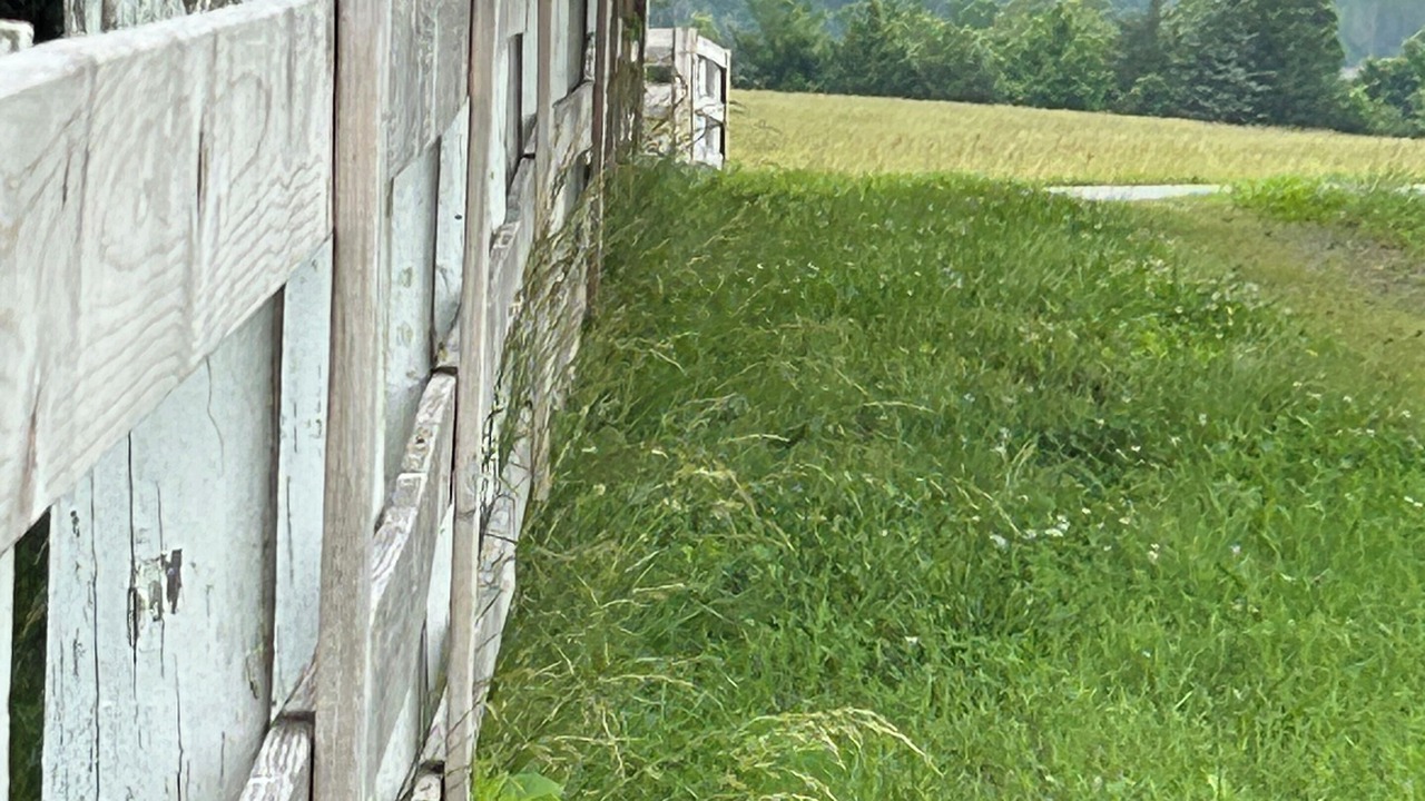 Photo of Outdoor in Ruffin