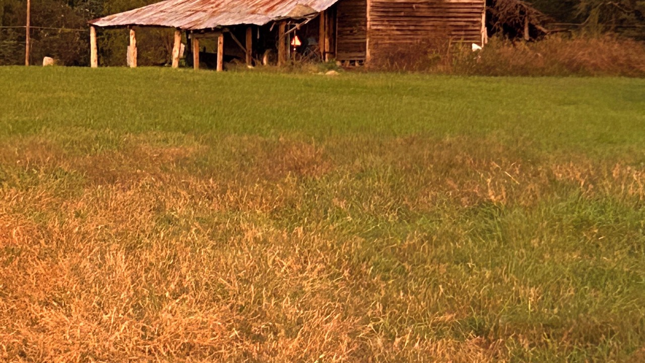 Photo of Others in Ruffin