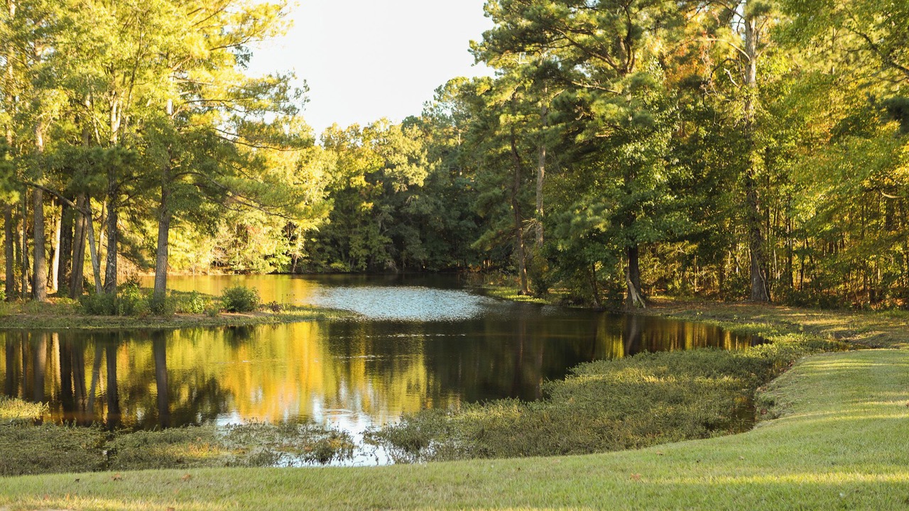 Photo of Others in Rocky Mount
