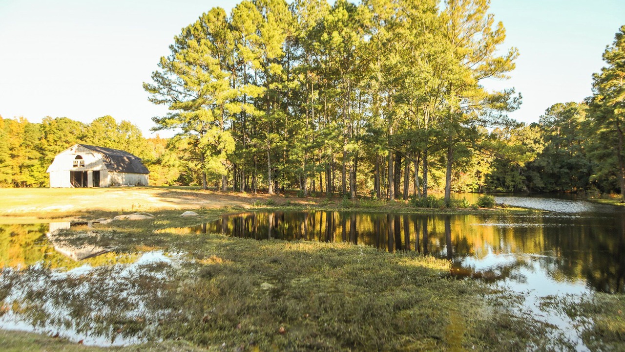 Photo of Outdoor in Rocky Mount