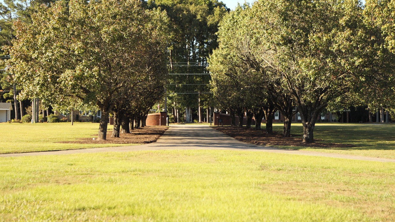 Photo of Outdoor in Rocky Mount