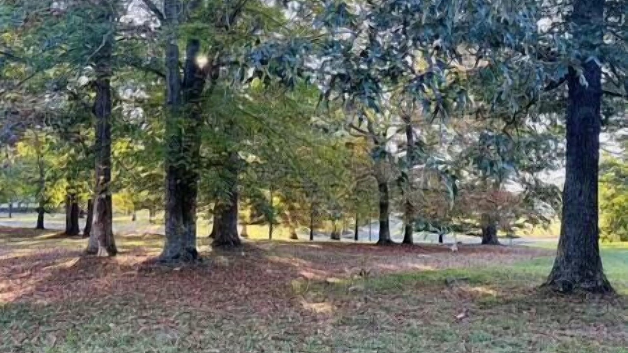 Photo of Others in Ridgetop