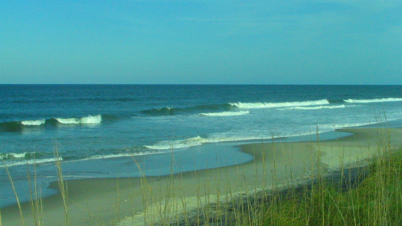 Photo of Others in Kitty Hawk