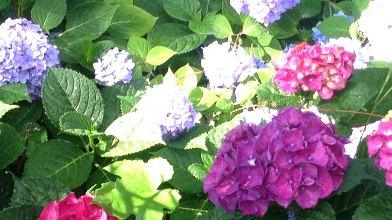 Photo of Outdoor in Kitty Hawk