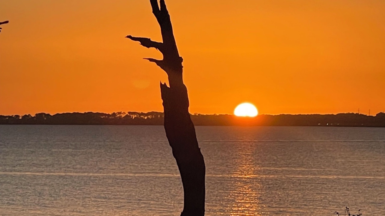 Photo of Outdoor in Kitty Hawk