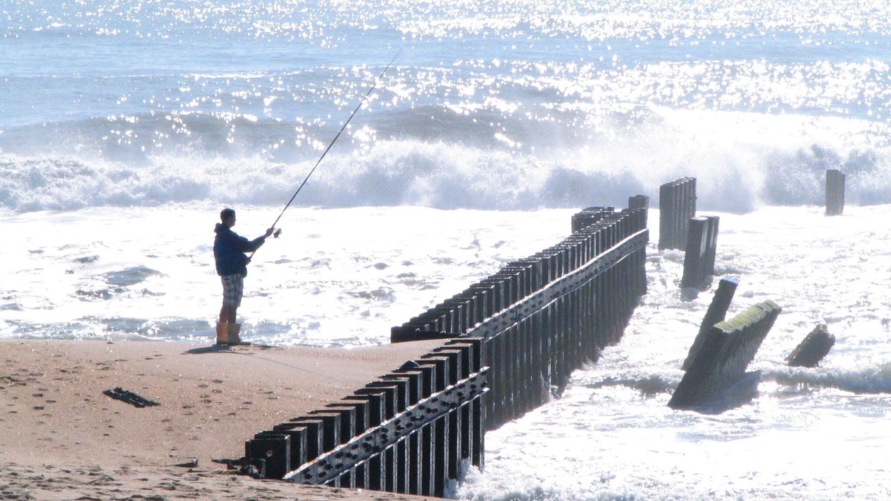 Photo of Others in Kitty Hawk