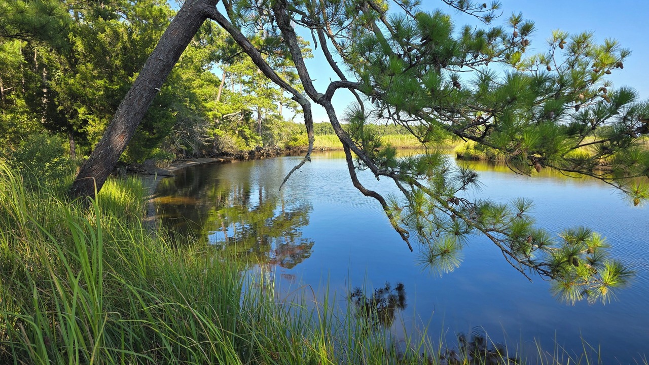 Photo of Outdoor in Hubert