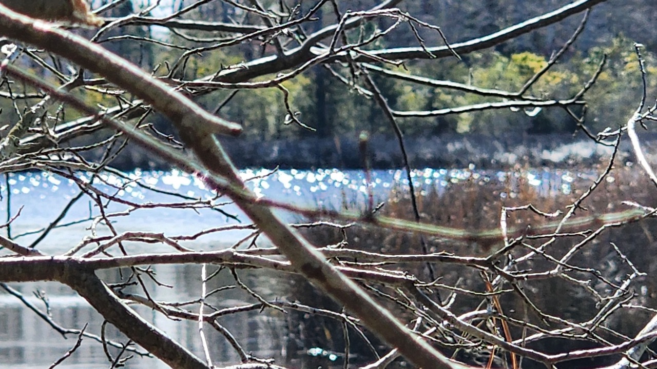 Photo of Outdoor in Hubert
