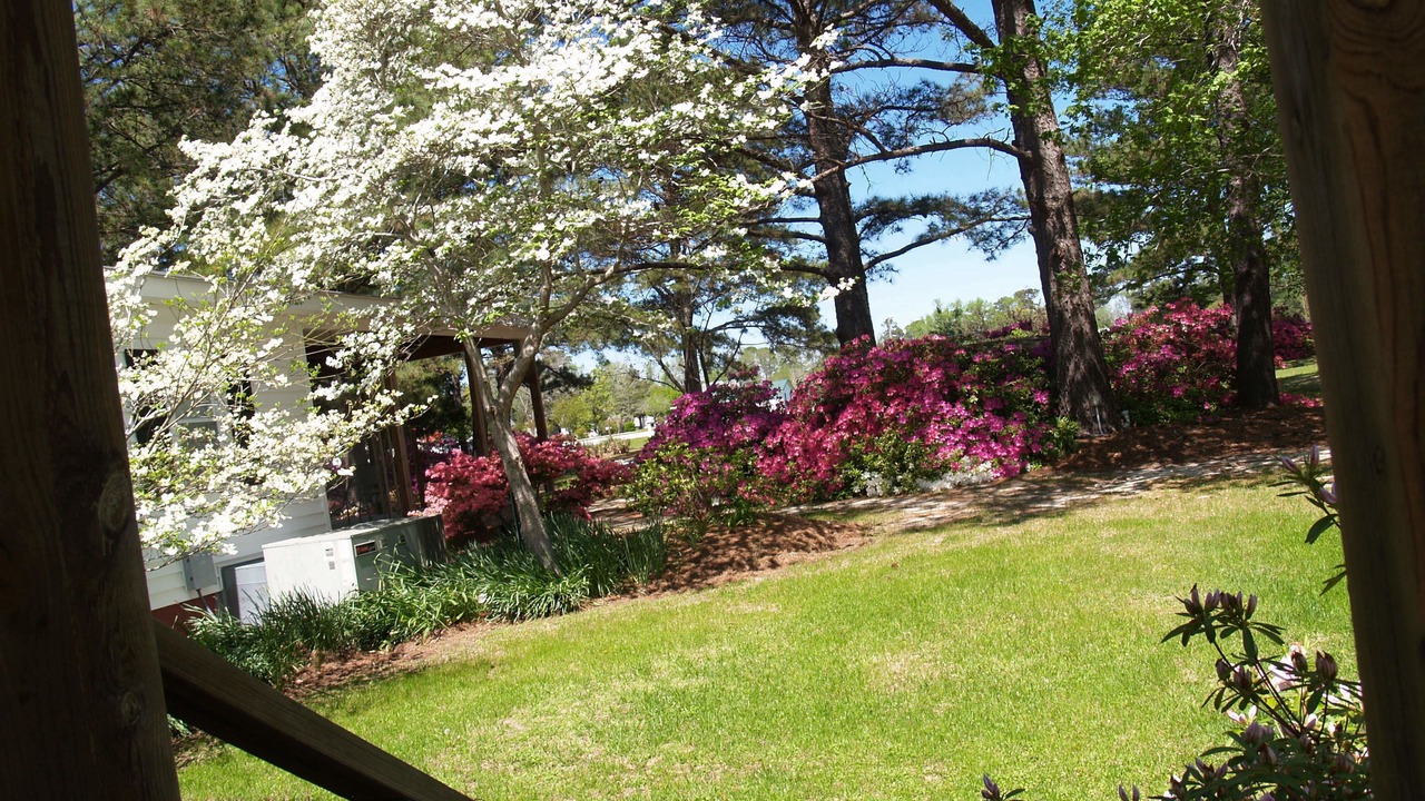 Photo of Outdoor in Hubert