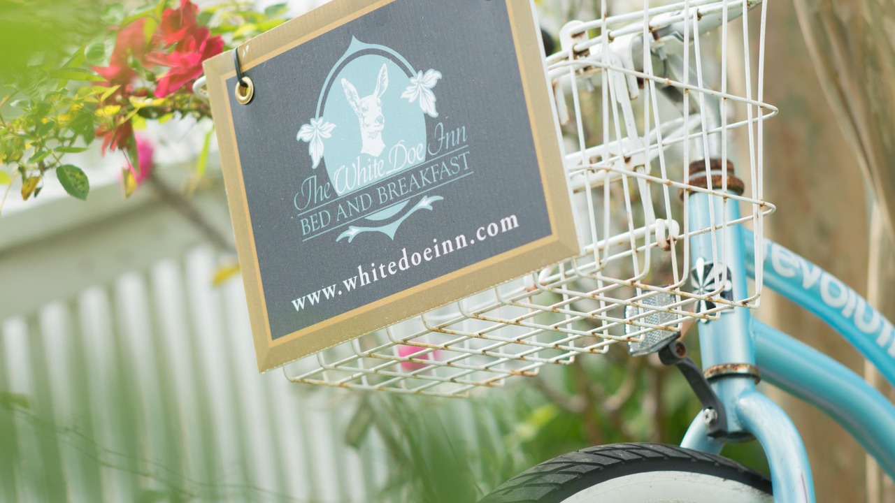 Photo of Outdoor in Historic Downtown Manteo