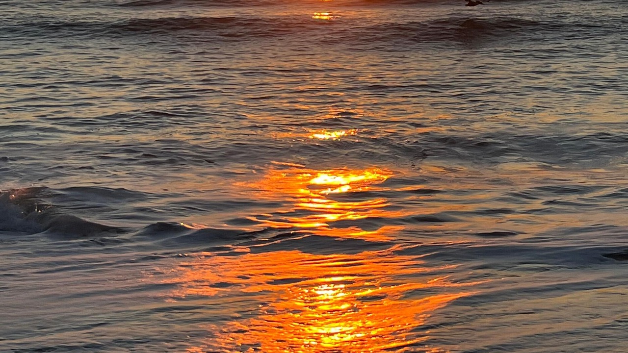Photo of Others in Carolina Beach
