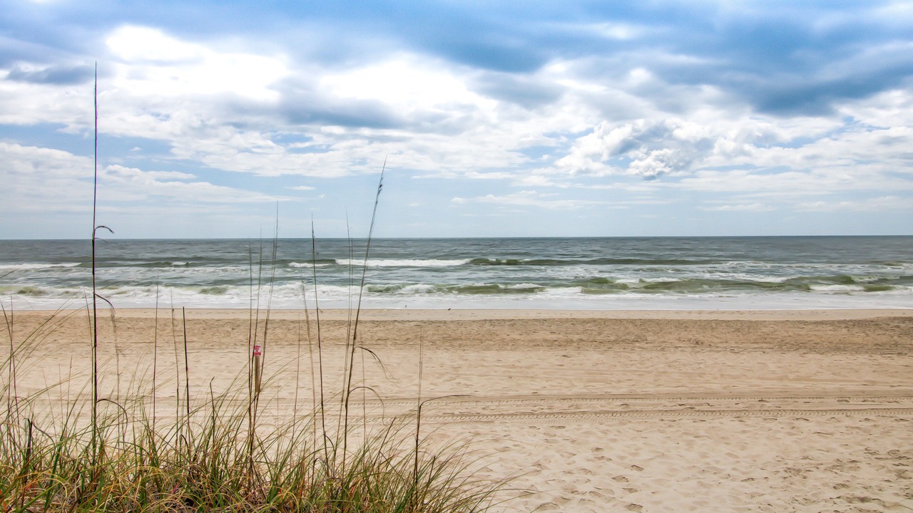 Photo of Others in Carolina Beach