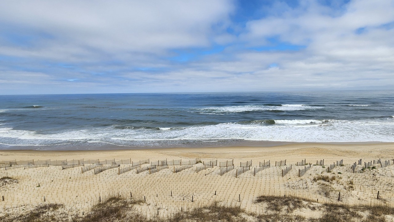 Photo of Others in Nags Head