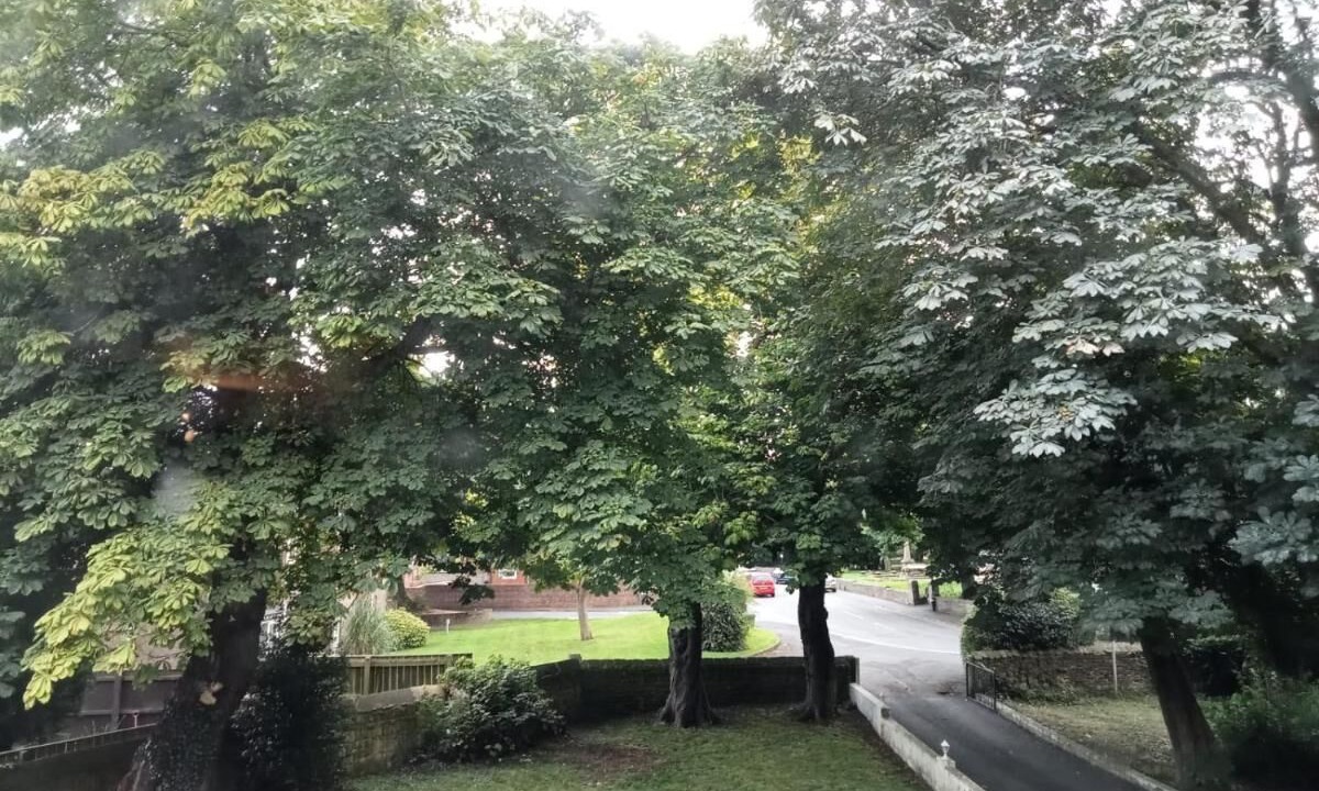 Photo of Outdoor in Cramlington